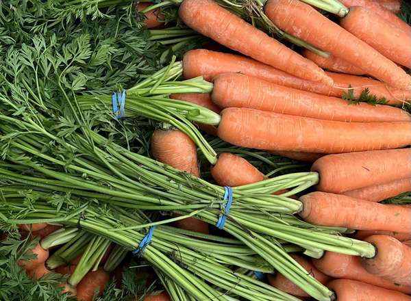 Organic Bunched Carrots