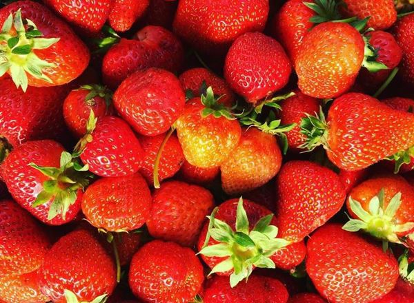 Strawberries