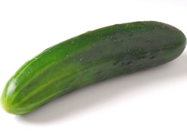 Cucumber Organic
