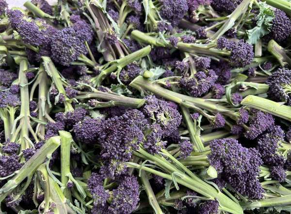 Organic Purple Sprouting Broccoli