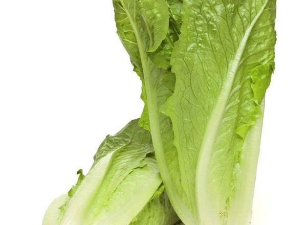 Organic Cos Lettuce