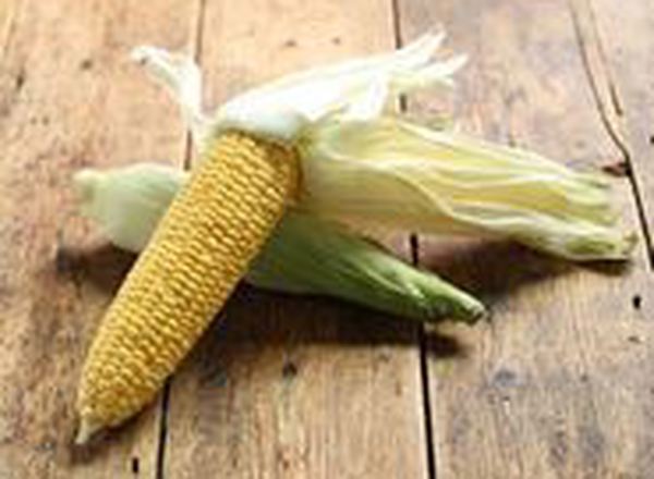 Sweetcorn - British Organic - 2 Ears