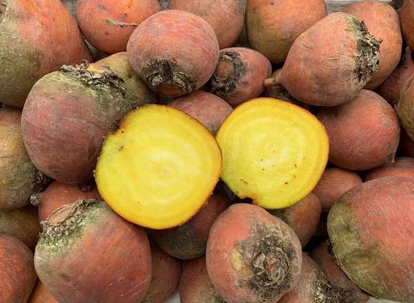 Organic Beetroot Golden