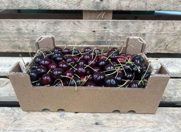 Organic Cherries (300g)