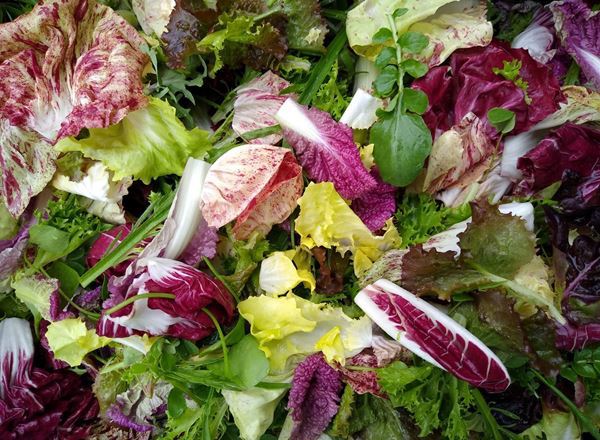 Trill Farm Garden salad and herb bags