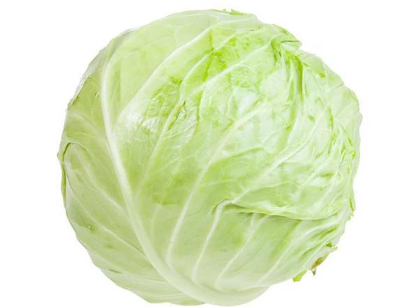Cabbage white