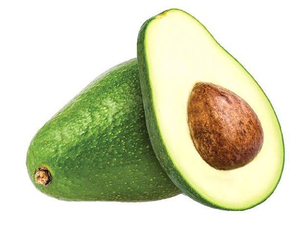 Avocado: Shepard