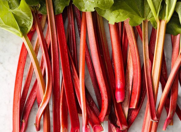 Rhubarb
