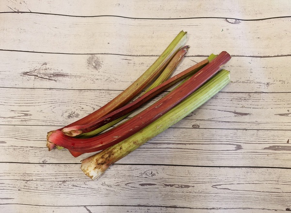 Rhubarb