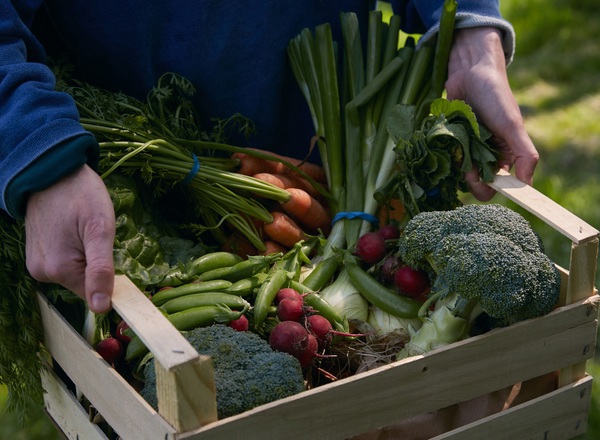 Fortnightly Winter Vegetable Bag