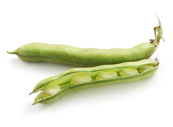 vBroad Beans