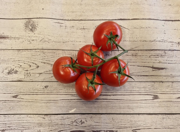 Tomato Classic