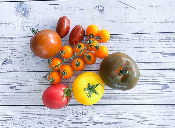 Tomato Heirloom Mix Organic