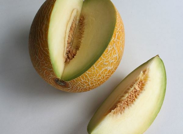 Melon Galia - Organic ESP