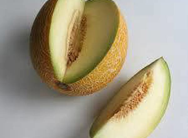 Melon Galia - Organic ESP