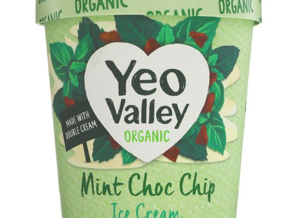 Yeo Valley Mint Chocolate Chip Ice Cream