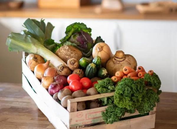 Organic Vegetable Boxes