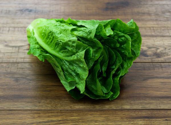 Lettuce- Cos   Organic