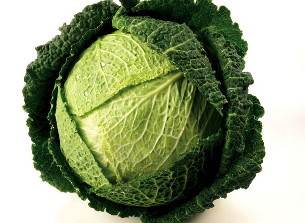 Organic Savoy Cabbage