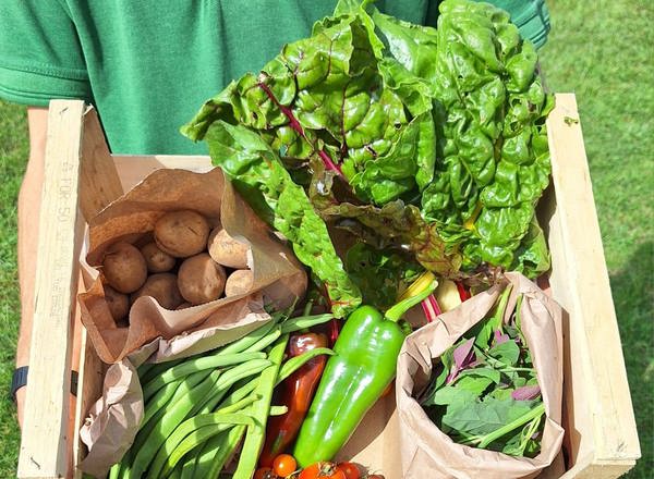 Small Veg Box