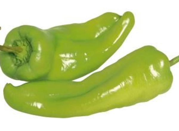 Pepper Organic