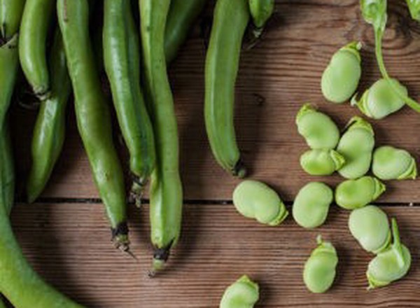 Organic Broad Beans 500g