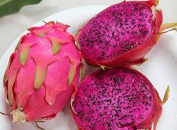 Dragonfruit