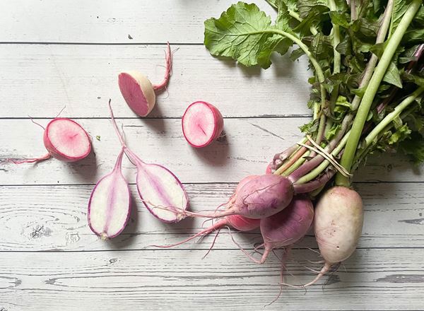 Radish - Winter Mixed Bunch