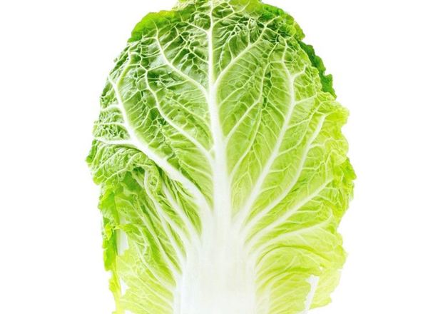 Cabbage Chinese Organic