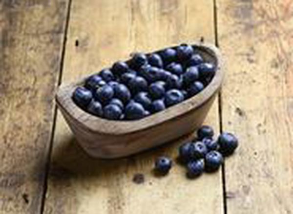 Blueberries - Organic