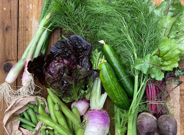 Small veg Box