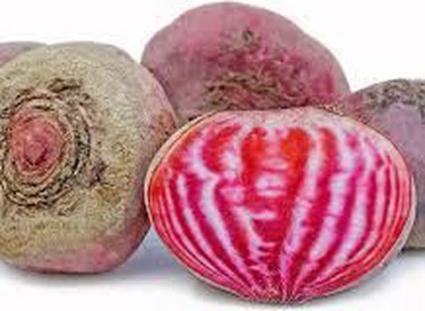 Beetroot Chioggia (500g)