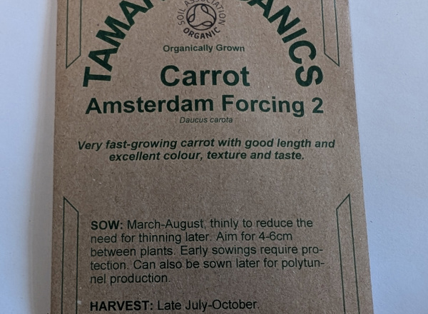 (Seeds) Carrot - Amsterdam Forcing 2