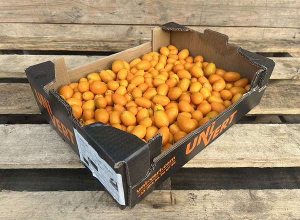 Organic Kumquat