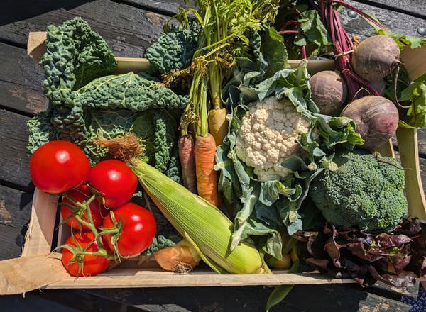 Large Veg Box