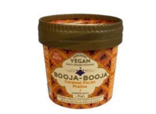 Organic Vegan Caramel Pecan Praline Ice Cream - 110ML