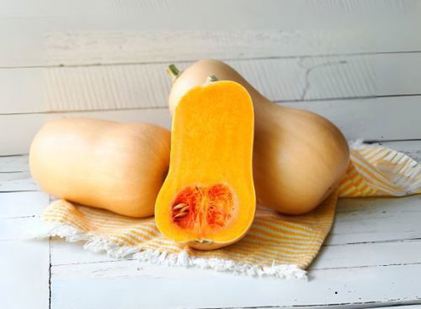 Butternut Squash