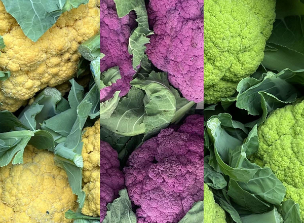 Cauliflower - Mixed (Yorkshire, UK)