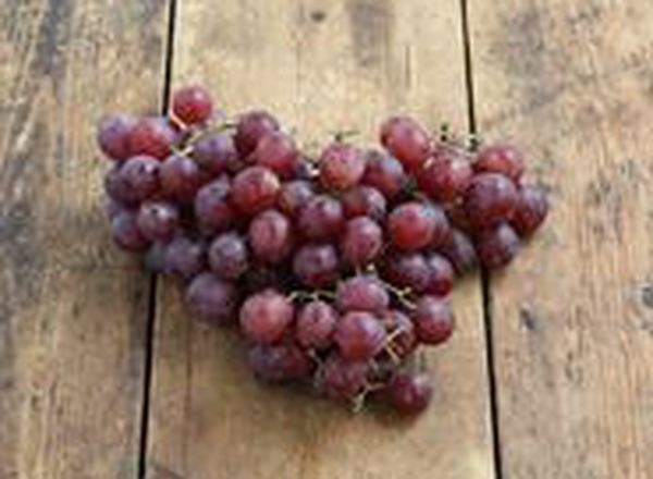 Grapes - Organic Red - Seedless