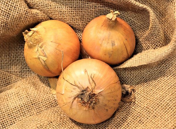 Organic Onions - 500g