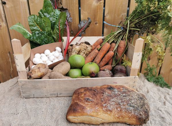 Fortnightly Vegetable Box with Bread