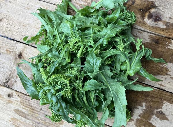 Cime Di rapa