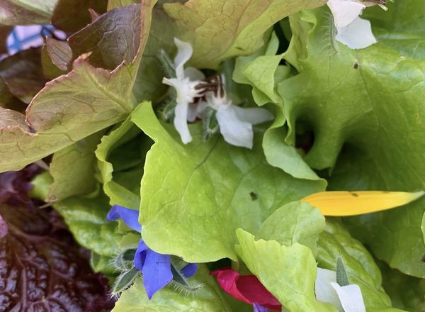 Floral Salad Bag