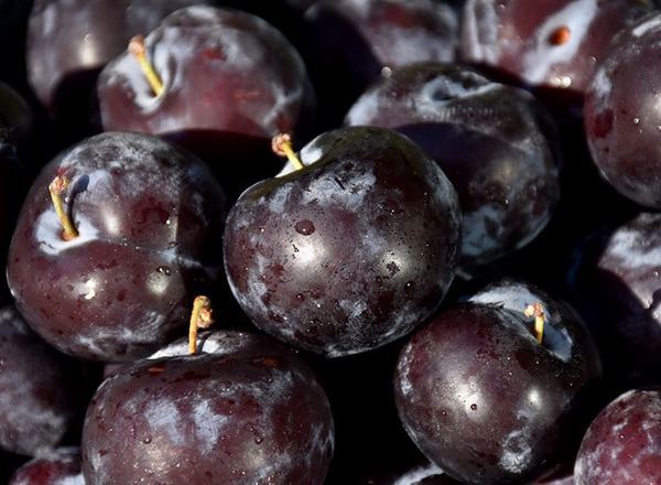 Plum: Black