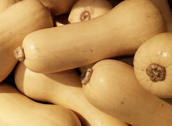 Butternut Squash