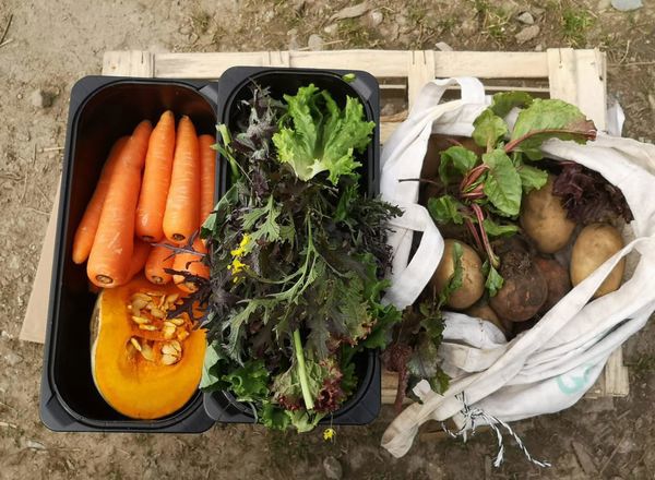 Large Veg Bag