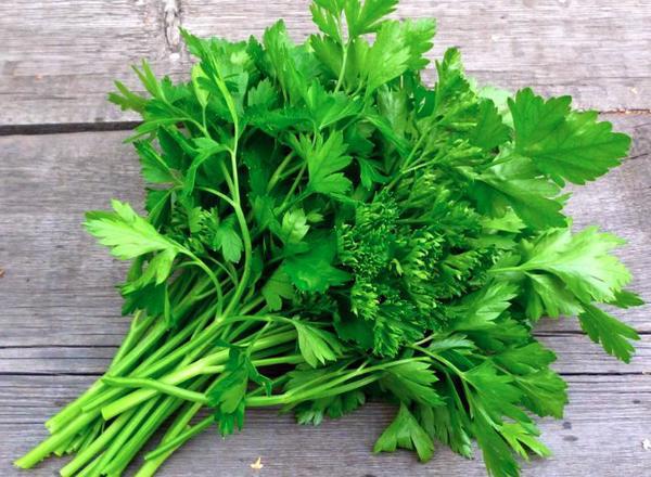 Parsley