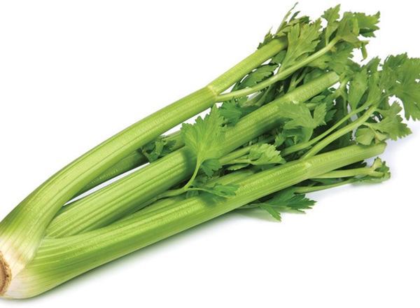 Celery EKG