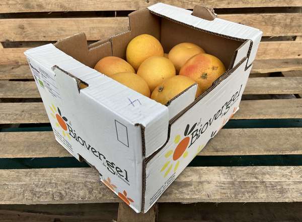Organic Grapefruit Red