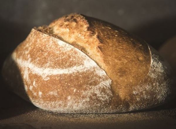 Bread White XL Sourdough